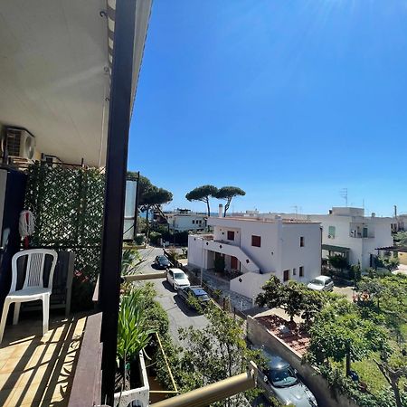 Coastal House - Spiaggia E Piscina A Dieci Passi Santa Marinella Exteriör bild